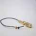 Pendulum for radiesthesia, Energy Healing and Chakras, Cotton String Included Brass Polished All (Brass Polished 1)