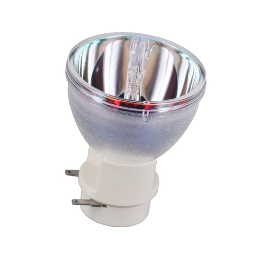Ampoule RLC-061 pour Viewsonic Pro8200 et Pro8300 avec boîtier
