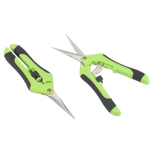 ZEONHAK 12 PCS 6.5 Inch Green Bud Trimming Scissors, Stainless Steel Bud Trim Scissors, Straight Tip Gardening Pruning Shears Pruners for Gardening 6 ZEONHAK 12 PCS 6.5 Inch Green Bud Trimming Scissors, Stainless Steel Bud Trim Scissors, Straight Tip Gardening Pruning Shears Pruners for Gardening - Image 6