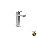 Single Hole Lavatory Faucet - 2563 - Forever Brass (PVD) - Skylar