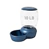Petmate Replendish Feeder Automatic Cat and Dog Feeder, Pearl Peacock Blue, 10 LB, Made in USA