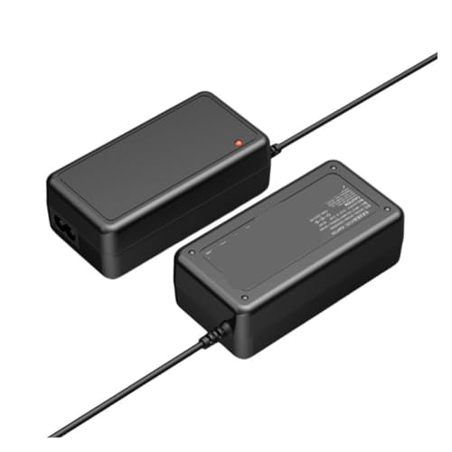 Chargeur 16,8 V 3 A sans cordon secteur adaptateur alimentation 50,4 W - 2