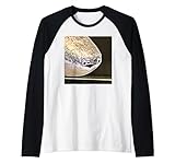 Photo Gallery sacabambaspis fish meme realistico maglia con maniche raglan Photo Gallery sacabambaspis fish meme realistico maglia con maniche raglan