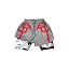 Gray Toaadsage