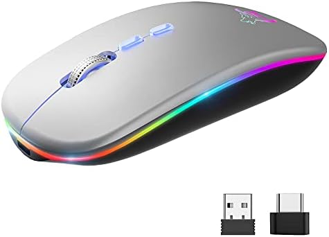 HOTLIFE LED Wireless Mouse, Slim Rechargeable Silent Bluetooth Mouse, Portable USB Optical 2.4G Wireless Bluetooth Two Mode Computer Mice with USB Receiver and Type C Adapter(Silver)