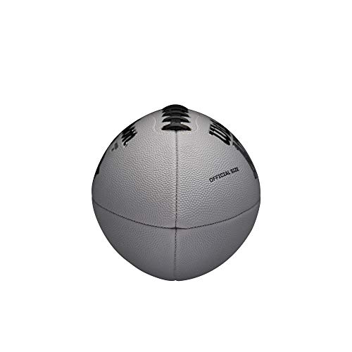Image of WILSON NFL Recreational Footballs