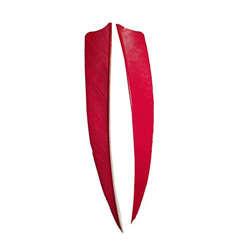 HNZMDY 50 Pcs 4 Inch 5 Inch Archery Arrow Fletching Turkey Feather Fletching Right Wing Left Wing Feather Real Arrow Vanes for Hunting Arrow Accessories DIY Archery (4 inch/Right Wing, Red) - Thumbnail 4