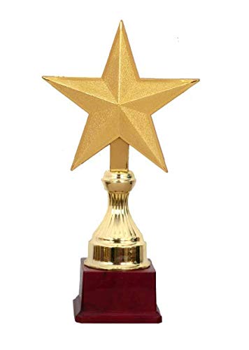 Be Win Winner Golden Fiber Star Trophy for Sports, Event & Functions-picture-31