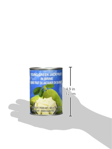 Cock Jackfruit in Salzwasser (1 x 565 g Packung)