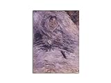 Artopweb