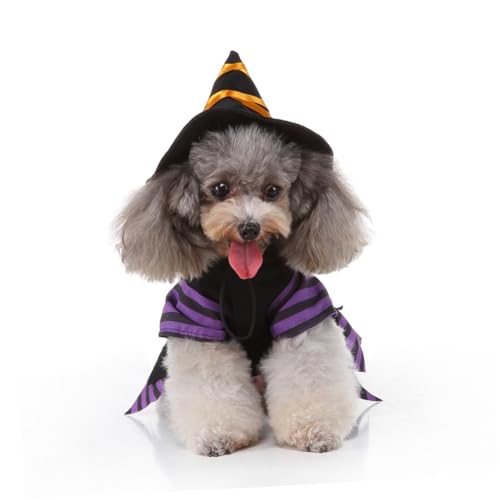 Disfraz de Bruja para Perro Talla L miniatura 7