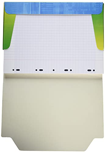 Clairefontaine 17551C - Packung mit 300 Ringbucheinlagen, DIN A4, 21 x 29,7cm, französische Lineatur, 90G, 1 Pack