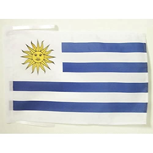 AZ FLAG - Flagge Uruguay - 45x30 cm Mit Kordel - Uruguayische Fahne 30 x 45 cm - Flaggen