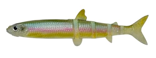 C}Jc [ Wo85 X[p[A AJ[(GRΉi) #S-243 AC}GJTM