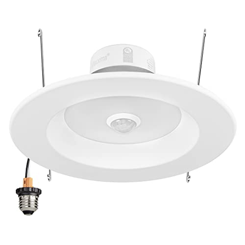 Best Outdoor Recessed Lights Expert Review The Modern Record