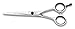 Produktbild FILARMONICA Professionelle Friseurschere, Expert, Friseurschere, Friseurschere, Edelstahl, warmgeschmiedet, sehr robust und langlebig, inkl. Schraubendreher, 15,2 cm