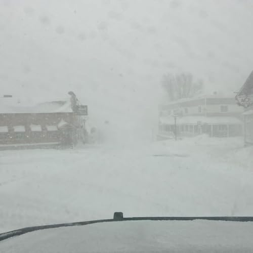 Digging Out from Winter Storm Elsa