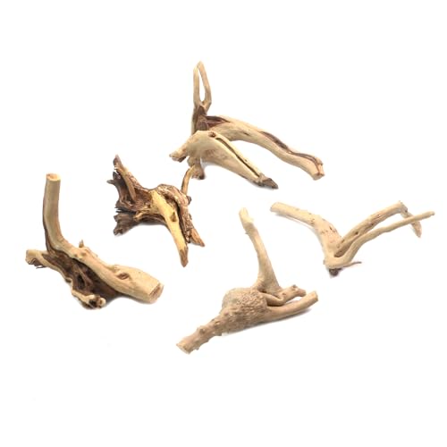 Image of 5Pcs Natural Cuckoo Wood for Aquarium, Aquarium Decor Wood Freshwater Fish Tank Reptile Driftwood Branch Length 3.93 inch to 5.9 inch