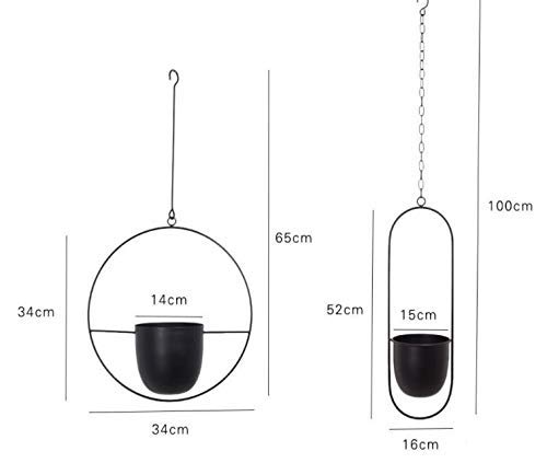 Cratone hangende plantenhanger, metaal, zwarte bloempot, plafond, hangende pot voor kamerplanten, vetplanten… - Image 3