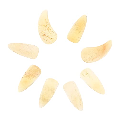 WESIEVYA 8⶗pwb yʐ݌v pIȌy퉉tptBK[sbN