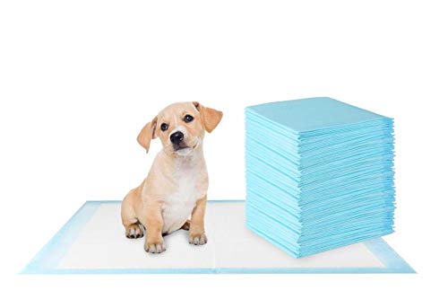 PawFam Fresh Scent Puppy Dog Pet Training Pads, 6-Layer Protection, 22\"x22\" (50 Count)