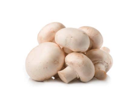 NRTC Fresh Giant Mushroom (Netherlands)