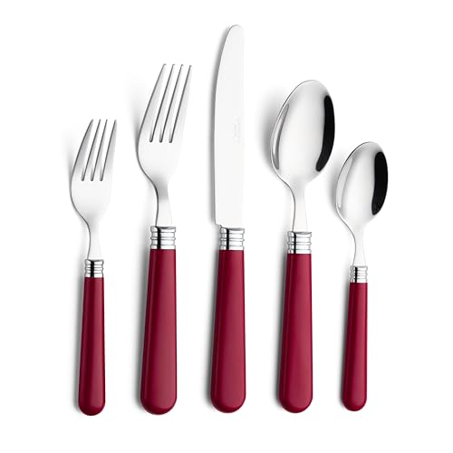 ANNOVA Silverware Set 20 Pieces Cutlery Stainless Steel Colorful Fun Handle Flatware Service for 4 - Dinner Knife, Dinner Fork, Salad fork, Dinner Spoon, Dessert Spoon (Red, 20 Pieces)