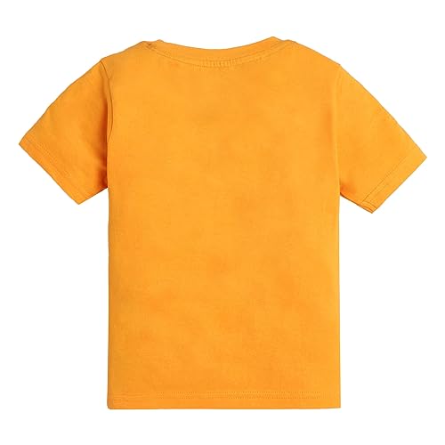 Image of Hopscotch Boys Graphic Regular Fit T-Shirt (Pack of 3)