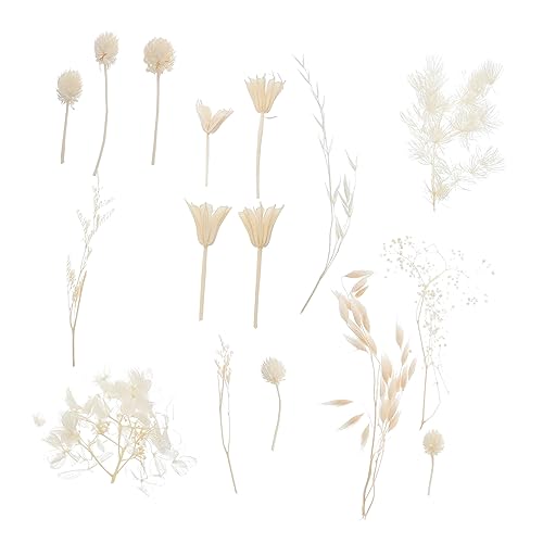 Kit de Flores Secas Prensadas para Manualidades miniatura 1