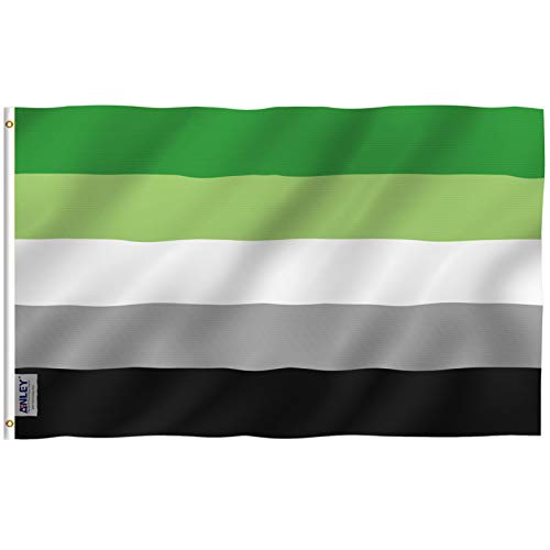 Anley Fly Breeze Aromantic Pride Flag 3x5 Ft