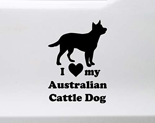 blue heeler trading post