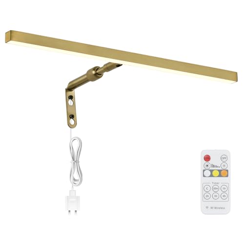 Pasoar Brass Picture Lights for Paintings Plug in, 16' 4W Adjustable LED Gold Picture Light Art...