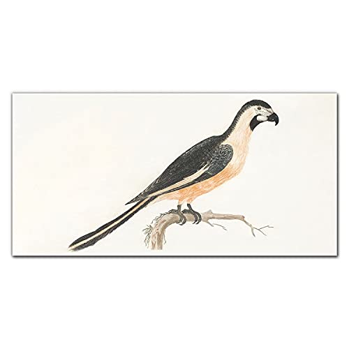 Photo sur verre oiseaux 100x50cm : oubliez les cadres poussiéreux et difficiles à laver