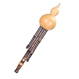 Hulusi (eine Art Chinesische Flöte) Professionelles Spielinstrument In Bb/F-Taste Für Erwachsene Und Anfänger Hulusi(Minor F)