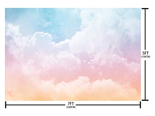 Fondo Fotográfico MEHOFOND 7x5ft Arcoíris Nubes miniatura 4