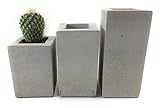 Square Concrete Succulent Planters / Air Plant Holder / Vase. (set of 3) Natural Gray.