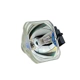 VBHGUYC For ELPLP39 V13H010L39 Lampada for proiettore con alloggiamento adatto for EPSON EMP-TW700 EMP-TW980 EMP TW2000 HOME CINEMA1080(V13H010LP39-CB)