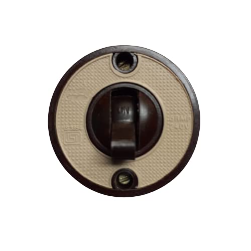 Porcelain Base Vintage/Old Type Switch, 6Amp, 1-Way, Toggle Actuator ...