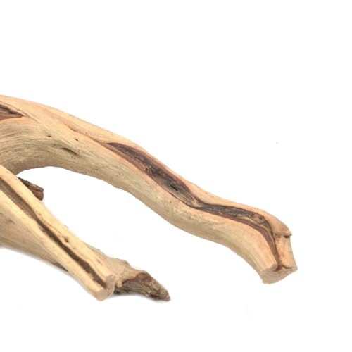 Image of 5Pcs Natural Cuckoo Wood for Aquarium, Aquarium Decor Wood Freshwater Fish Tank Reptile Driftwood Branch Length 3.93 inch to 5.9 inch