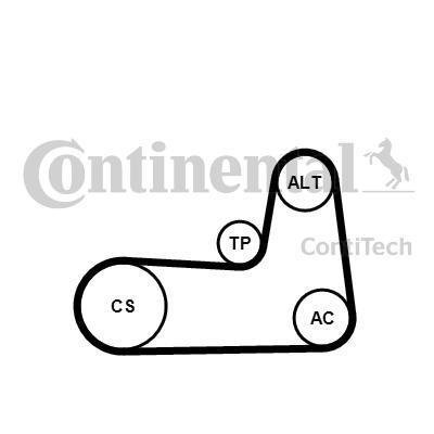 Cont Itech 5Pk1125 K1 Cinghia Trapezoidale Set