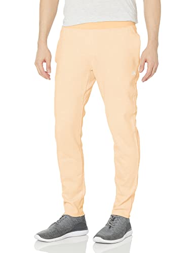 Champion mens Champion Men's Natural State Reverse...