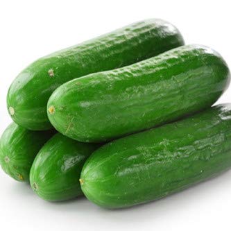 Cucumber - Biocarve Seeds Seeds | Pack of 50 seeds (B01ASWOOL0) Amazon Price History, Amazon Price Tracker