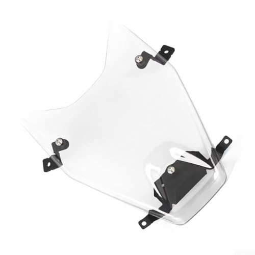 Protector de faros para BMW R1300GS transparente que frena impactos de escombros