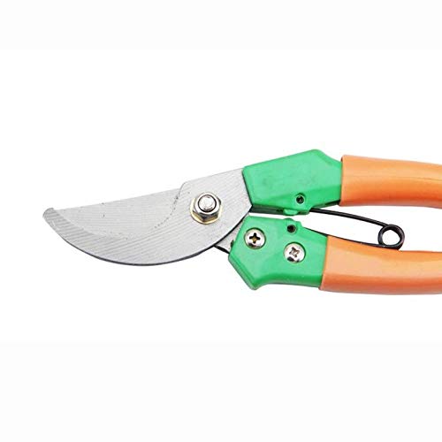 Forbici da potatura Professionali da Giardino affilate Forbici per Rami a Mano Forbici da potatura Cesoie da Giardinaggio Potatore Trimmer Strumenti di potatura