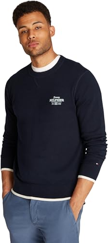Preisvergleich Produktbild Tommy Hilfiger Herren Pullover Graphic Cotton Rundhalsausschnitt, Blau (Desert Sky), M