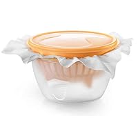 DIY Fresh Cheese Making Stamper Safe Non-Toxic Food Grade Material Fast Production l and Convenient Transparent Beautiful