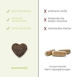 mammaly 13 in 1 Welpen Leckerlies für Hunde (650g) Puppy Power mit Präbiotika, Grünlippmuschel und Vitamin E - Gesundes Wachstum und Nervenfunktionen - Unterstützt Training