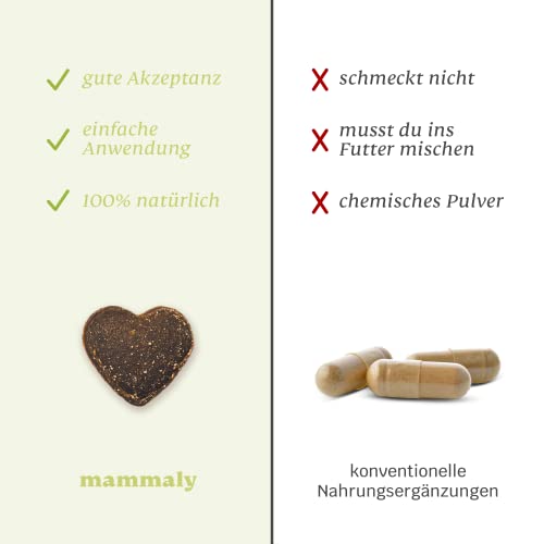 mammaly 13 in 1 Welpen Leckerlies für Hunde (650g) Puppy Power mit Präbiotika, Grünlippmuschel und Vitamin E - Gesundes Wachstum und Nervenfunktionen - Unterstützt Training