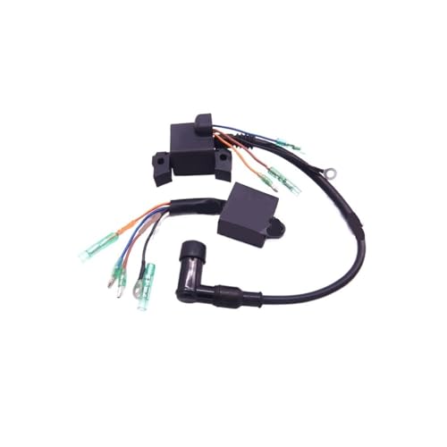 Bobine d'allumage F6.5 contre les démarrages difficiles de hors-bord