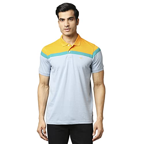 Image of Park Avenue Men's Cotton Polyester Blend Stripe Pattern Slim Fit Rib Collar Polo Neck Half Sleeve Casual T-Shirt